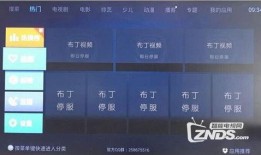 一只小布丁爆料视频,独家爆料视频背后的故事